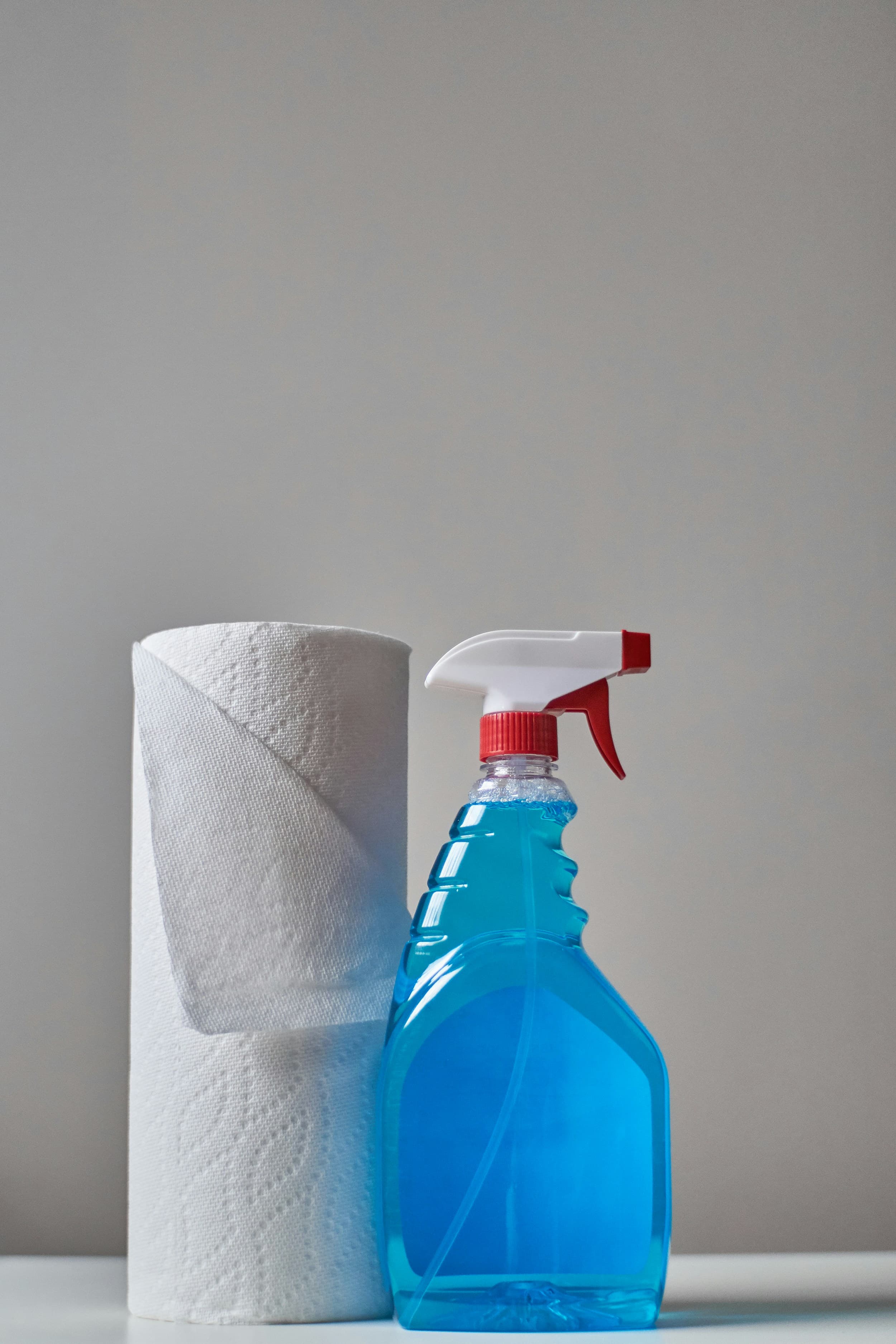 Penthouse Cleaning