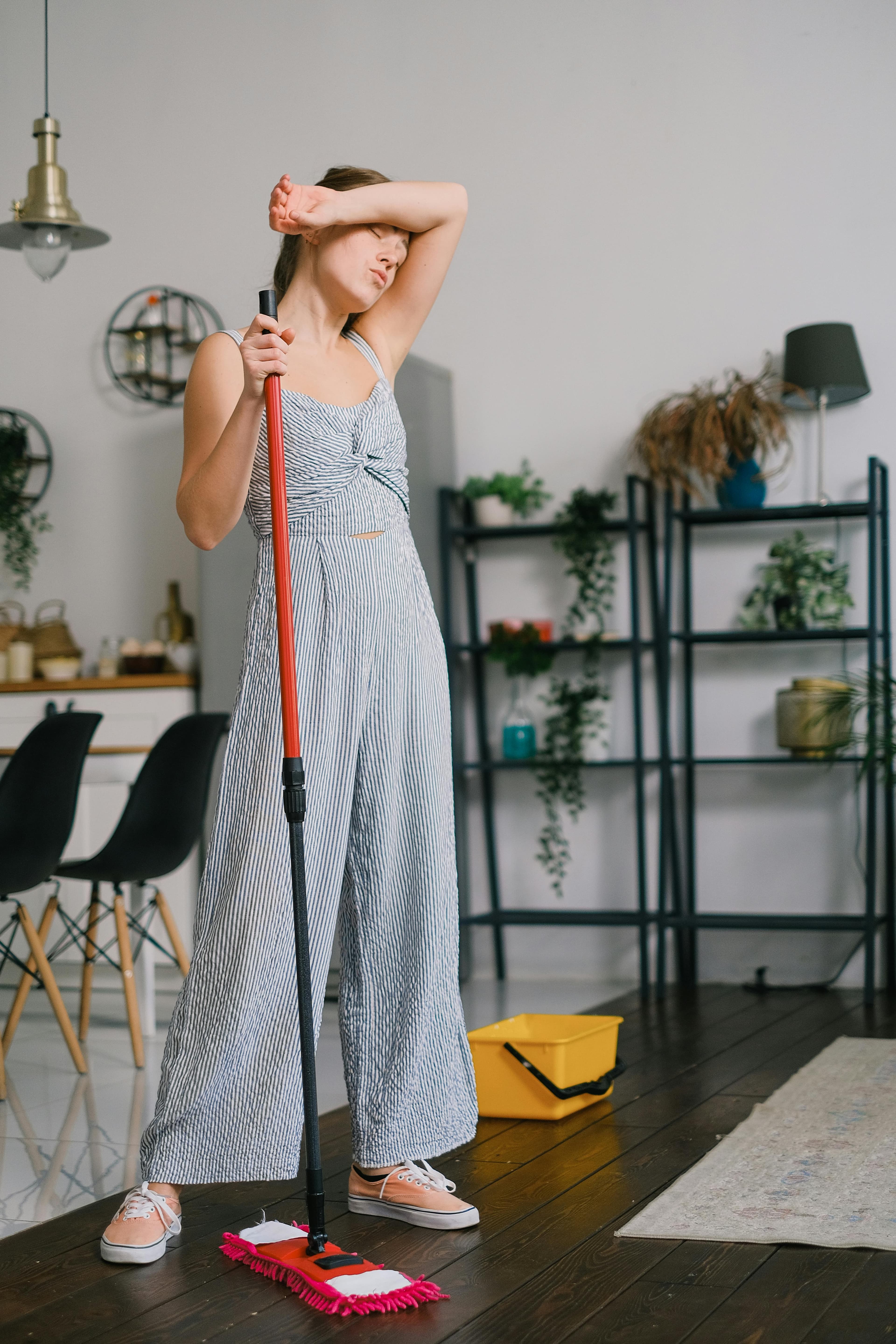 Penthouse Cleaning overview